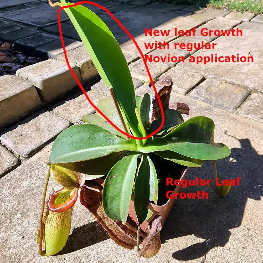 Novion Foliar Feed - Image 5