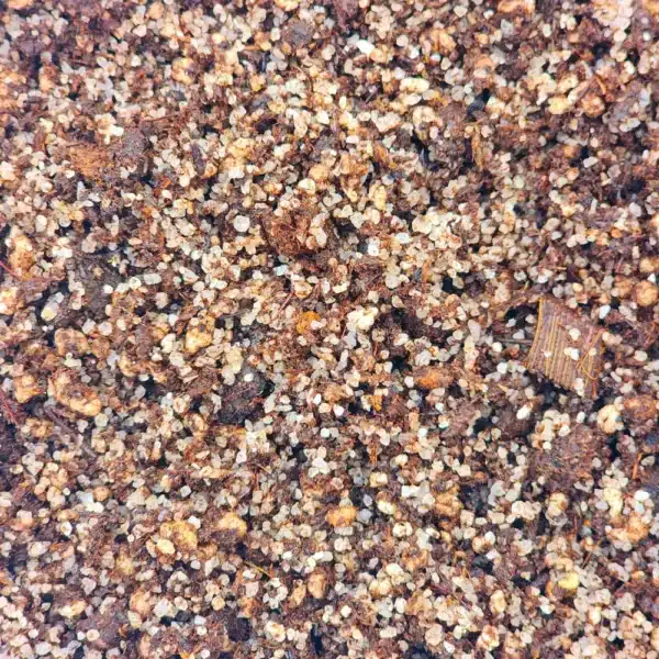 CP Soil Mix - Sandy - Curry's Post Carnivores