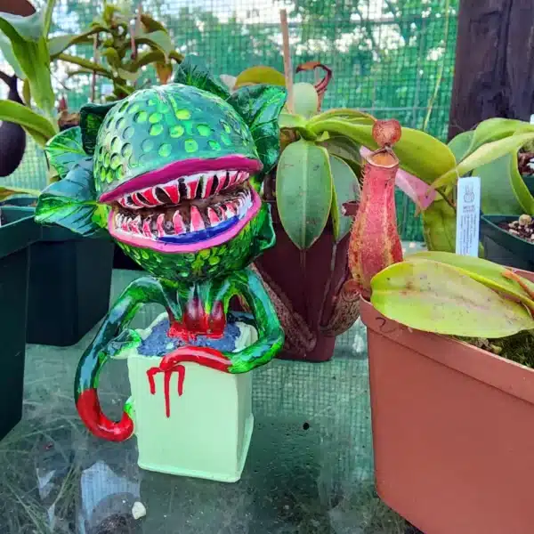 Audrey 2