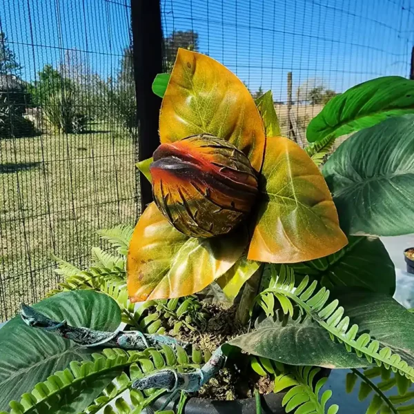 Audrey 2 Large - Image 3