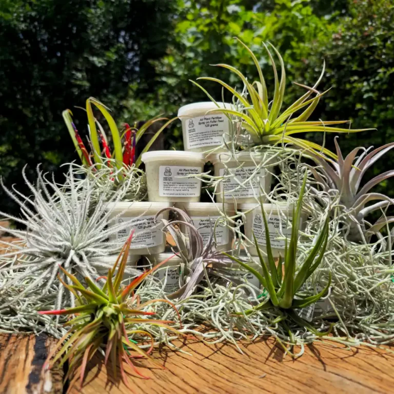 Tillandsia Fertiliser