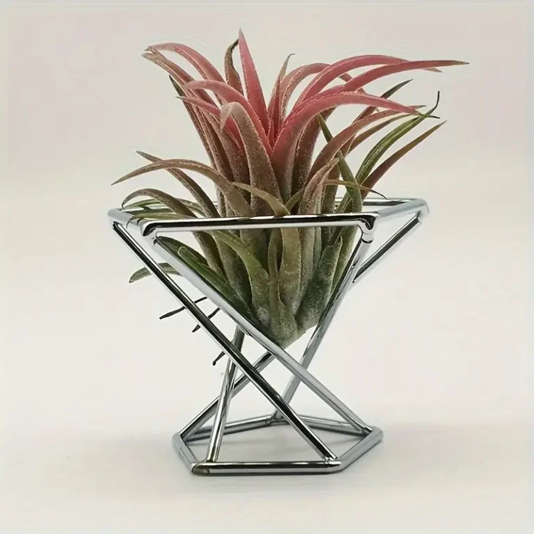 Hexagonal Air Plant Holder