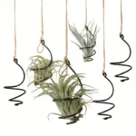 hanging air plant holder