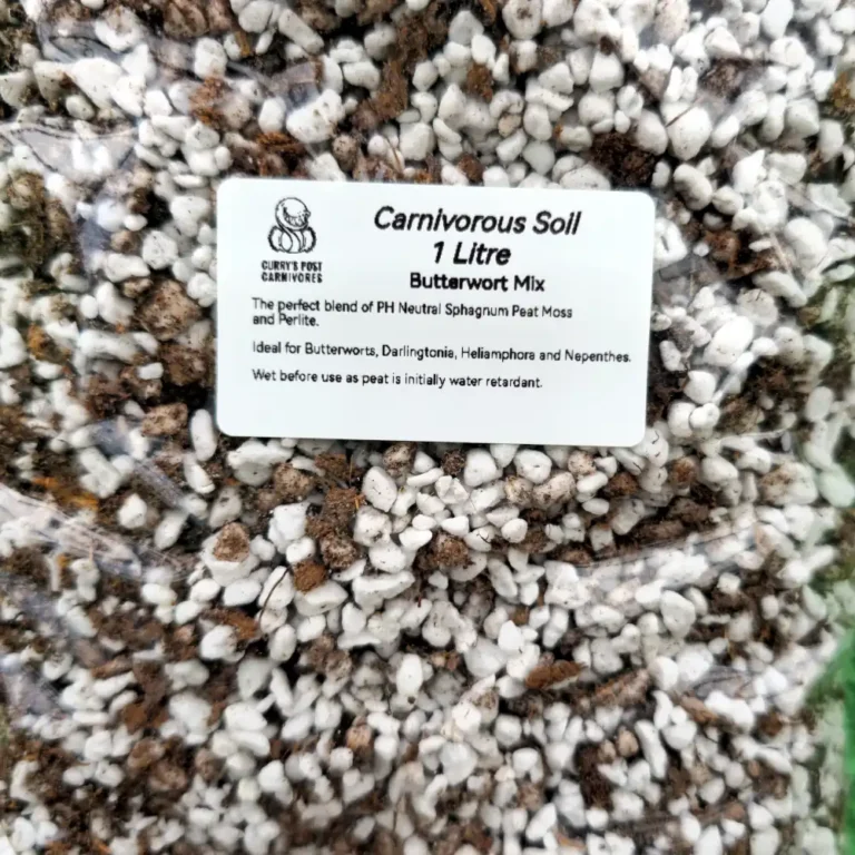 Carnivorous Plant Soil Mix Butterworts