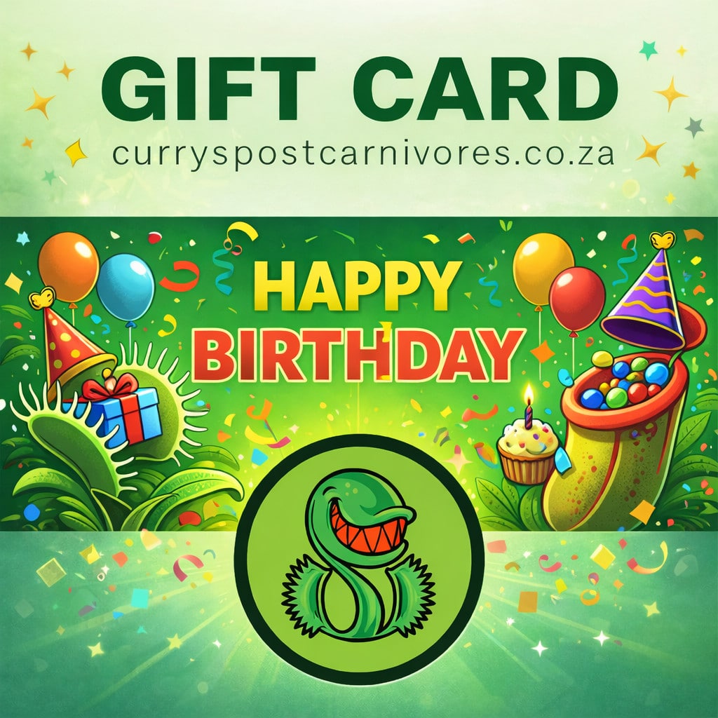 Birthday Gift Card