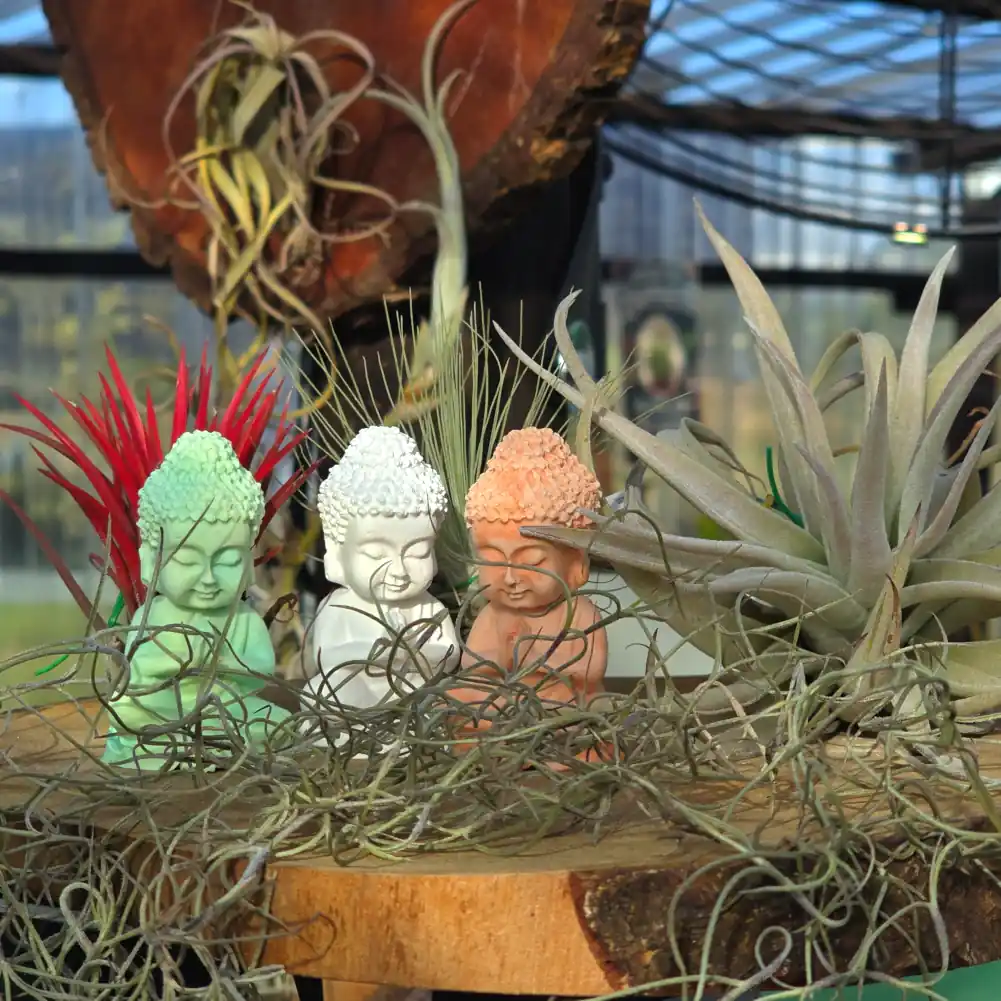 Mini Buddah Statue